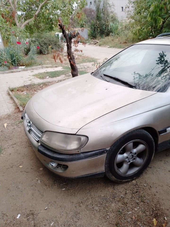 Opel Omega: фото владельца