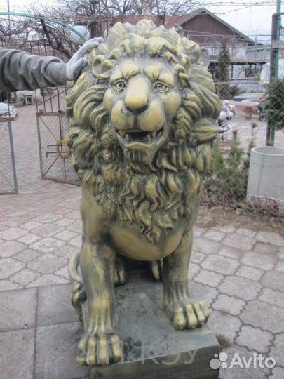 Королевский Лев Сидячий