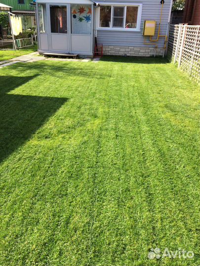 Аэратор - скарификатор