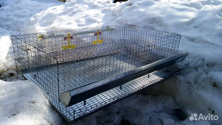 Клетки для перепелов на выбор