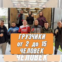 Грузчики, Санкт-Петербург