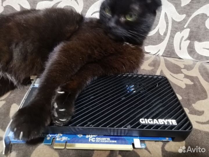 Видеокарта gt9600