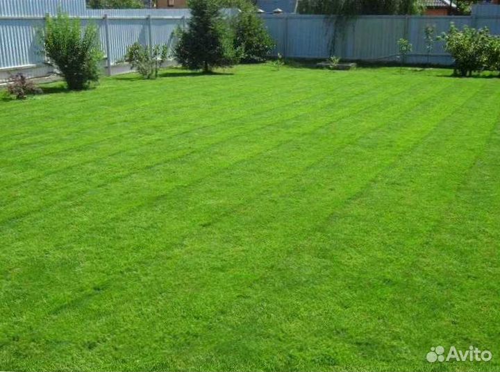 Газон. Семена мешок 10 кг