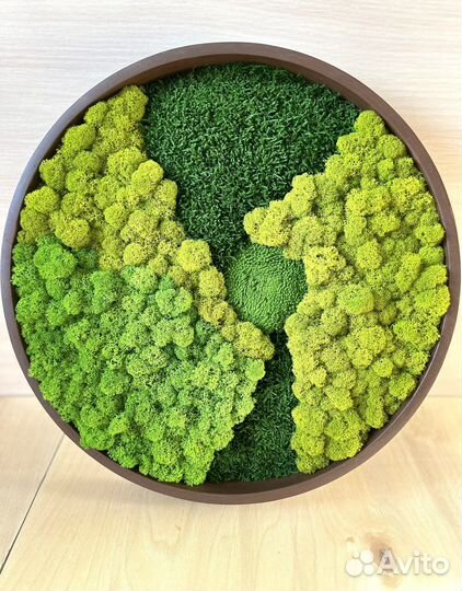 Панно из микса мхов