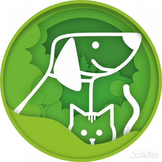 Ассистент ветеринарного врача