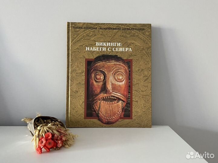 Книга энциклопедия. Викинги:Набеги с севера Терра