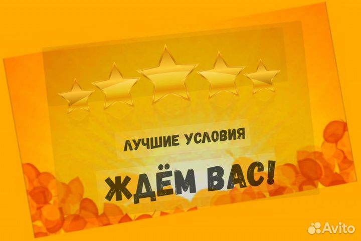 Маркировщик Еженедельный аванс М/Ж Спецодежда