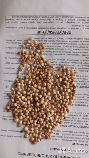 Сорга белая