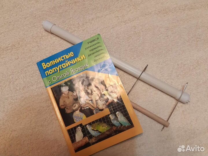 Волнистые попугайчики ++