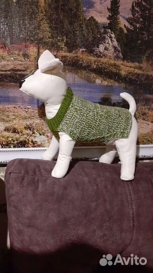 Жилетка для маленьких собак и кошек сфинкс