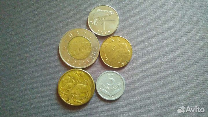 Набор из монет