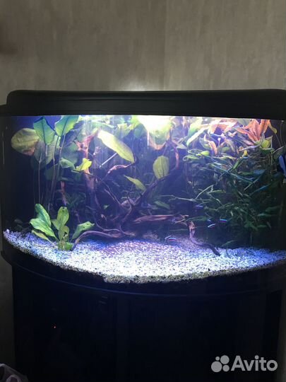 Продам аквариум 350 литров