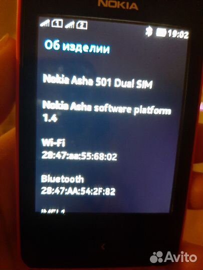 Nokia Asha 501