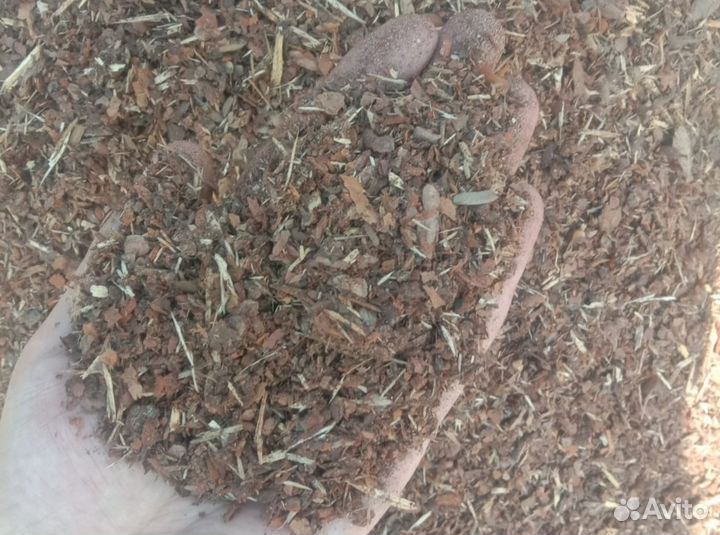 Кора сосновая