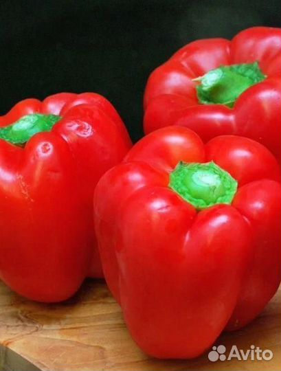 Перец богатырь