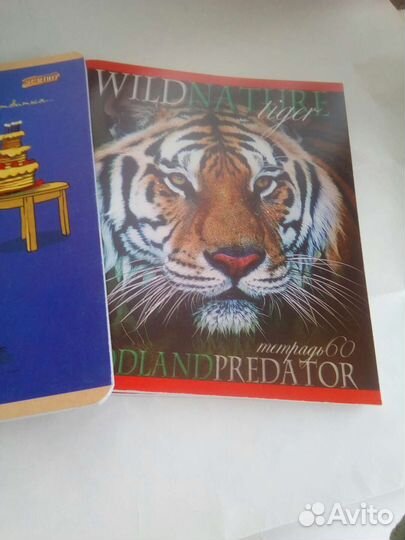 Тетради общие