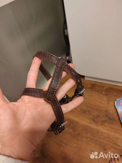 Шлейка для маленькой собаки