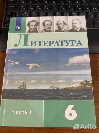Литература 6 класс часть 1,2 учебник Коровина