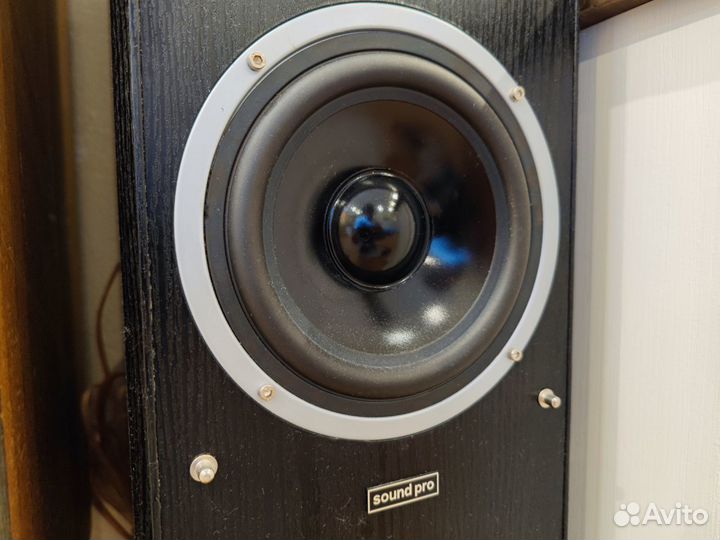 Акустика, колонки Soundpro SP-2S