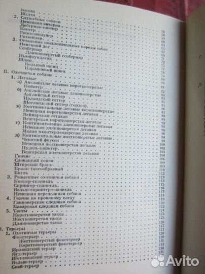 Ч. Мержендал. Куст ежевики. 1993 год