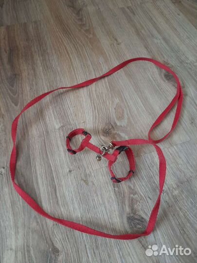 Шлейка для хорька