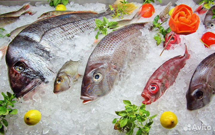 Готовый бизнес – рыбный магазин для вас