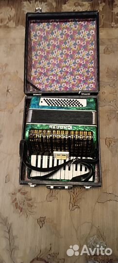 Аккордеон юность 1/2