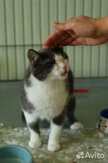 Марта очень хочет домой