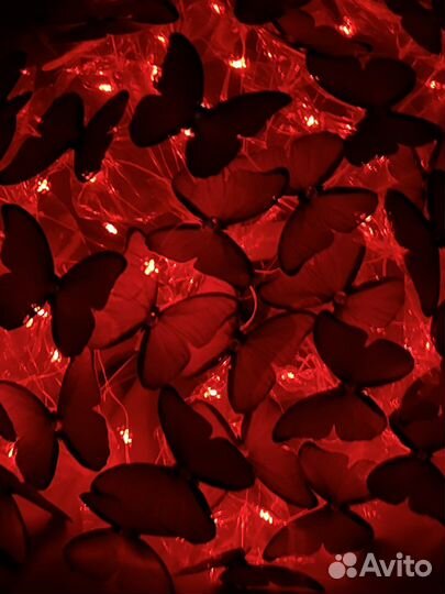 Букет из бабочек