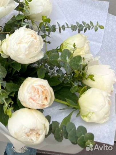Пионы белые с эвкалиптом