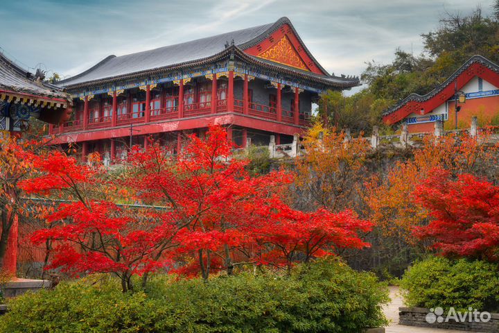 Гранд-тур в Китай на 12 дней. Октябрь 2025