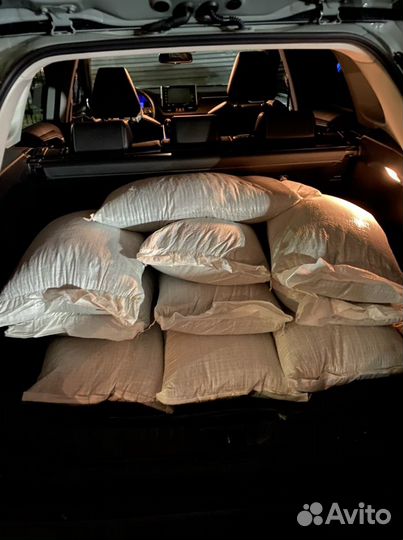 Наполнитель для кошачьего туалета