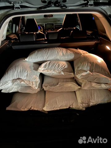 Наполнитель для кошачьего туалета