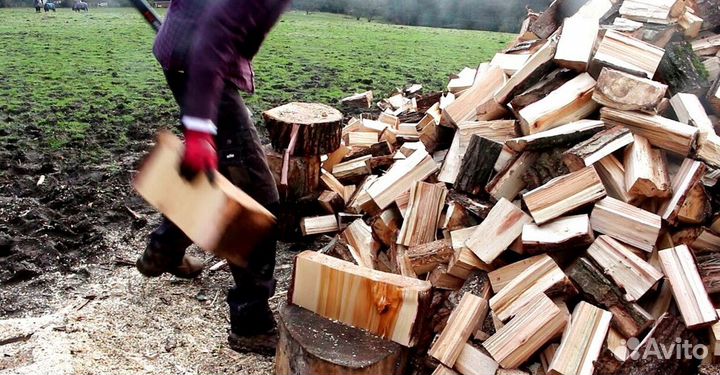 Подсушенные дрова