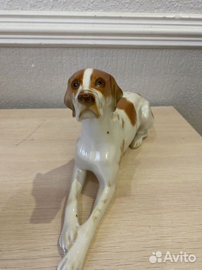 Пойнтер фарфоровая статуэтка СССР