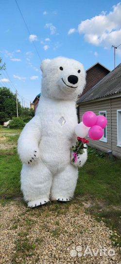 Аниматор. Поздравление от белого мишки Teddy Boom