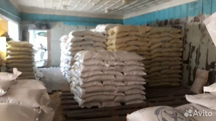 Корма для животных птиц Незнамово