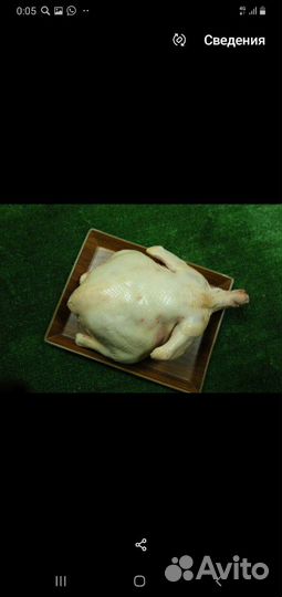 Куры-мясо на шаурму-крыло-печень-желудки-филе