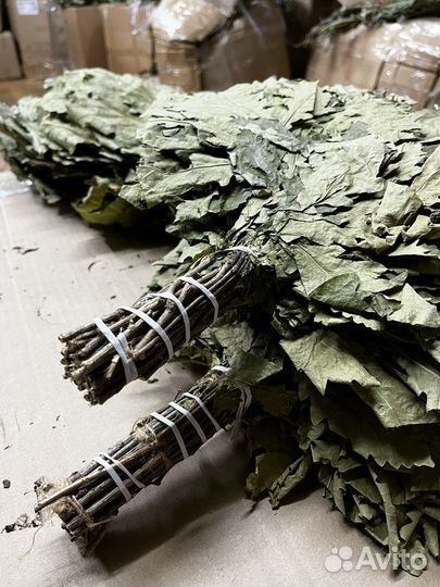 Дубовый веник