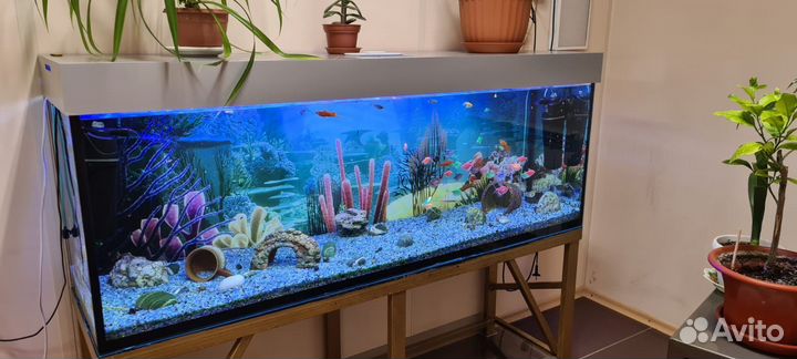 Аквариум с тумбой 450 литров