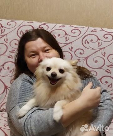 Передержка животных с любовью, в домашних условиях