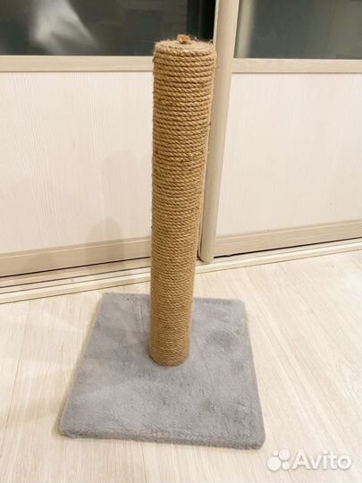 Когтеточка