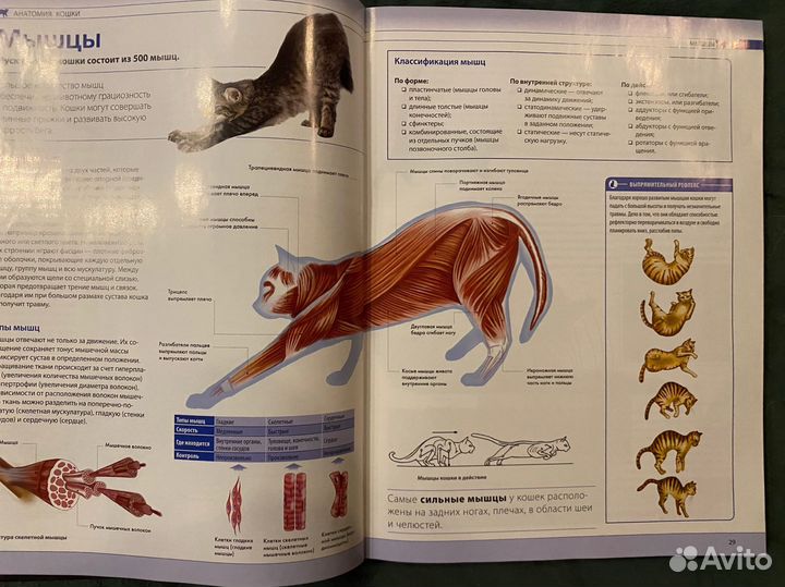 Самая полная иллюстрированная энциклопедия 