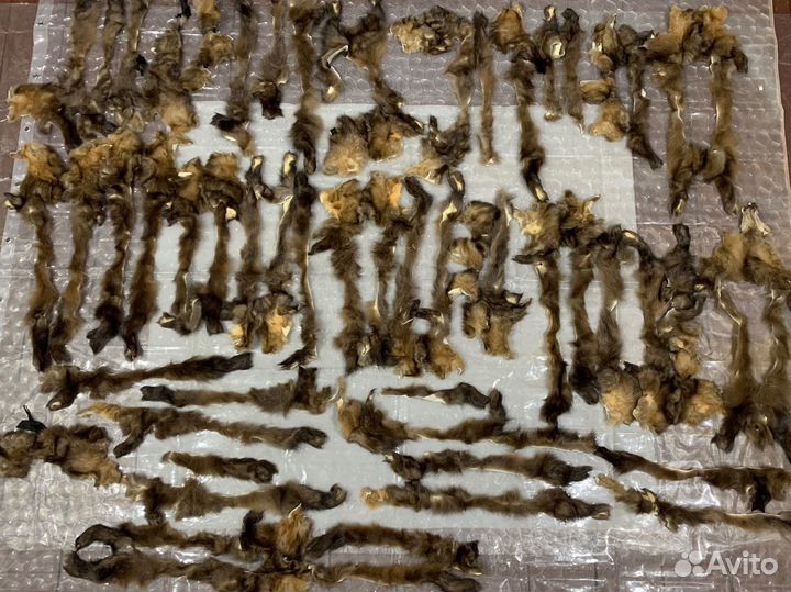 Обрезь (обрезки, остатки, лоскуты, шкурки) соболя