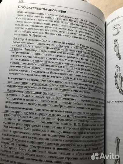Учебник ЕГЭ по биологии Соловков