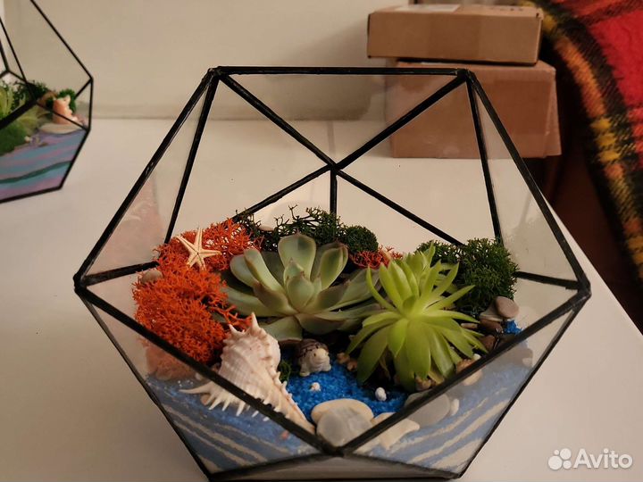 Флорариум с суккулентами