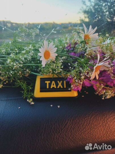 Зоотакси (перевозка животных, зооавто)