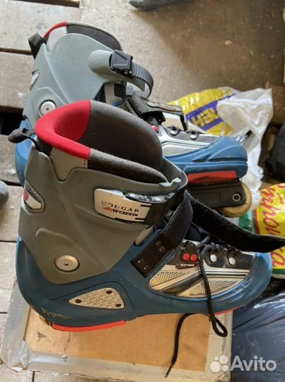 Роликовые коньки взрослые explore coguar agressive