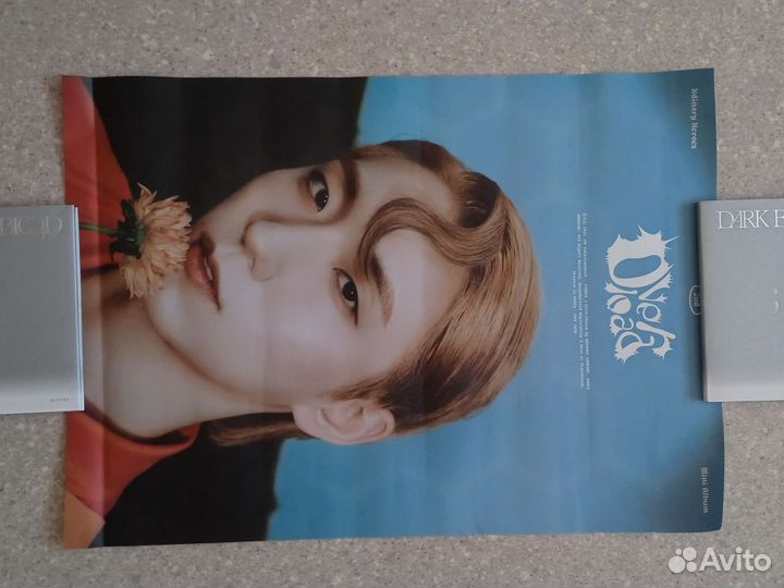 Официальные плакаты (G) I-DLE, Xdinary Heroes