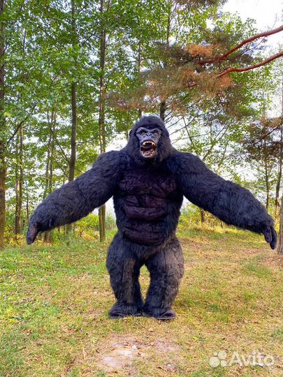 Ростовая кукла аренда